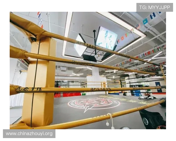 m8体育入口全面解析最新版本，助你轻松畅享足球篮球等多项体育赛事体验